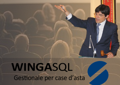 Software per case d’asta